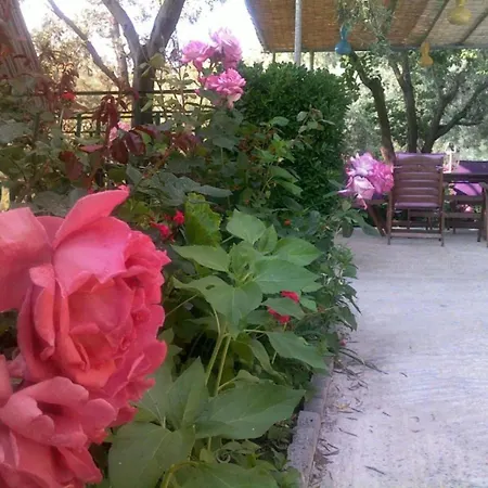 Appartement Margianou Seaview 1 & 2 *