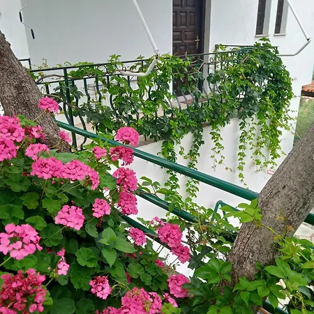 Margianou Seaview 1 & 2 公寓 *